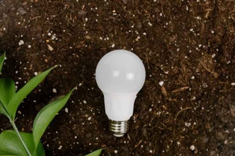 Your Guide to Energy Efficient Lights for Your Business