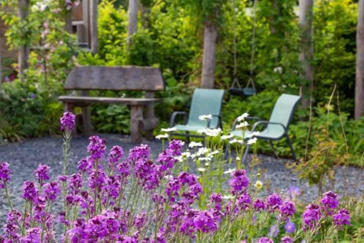 Are You In Need Of Beautiful Garden Designing From Professionals?