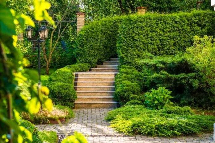 landscape-design landscape-design