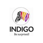 Indigo-Paints