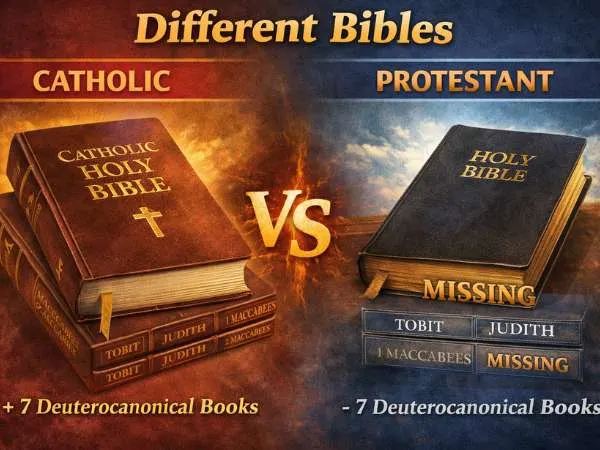 Different Bibles, same core message